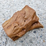 NRC가말 인조유목은신처 중대형 C-18 도마뱀 : 뉴런렙타일