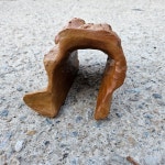 NRC가말 인조유목은신처 중대형 C-18 도마뱀 : 뉴런렙타일