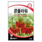 콘플라워 500립 예쁜 꽃씨 씨앗 종자 꽃밭 화단 가꾸기 : 농사연구소
