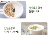 요라파 목장요거트 500ml 2병 (플레인요거트) : 요라파목장