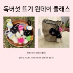 독버섯 코바늘 원데이 클래스 / 코바늘 배우기 기초 (재료비 포함) 2명부터 가능/ 뜨개질 : 감자네공방