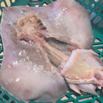 국내 조업 신진도 손질 간재미 갱개미 간자미 찜 탕 1kg+1kg (총 2kg) : 신진도꽃게