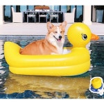 강아지 튜브 수영장 계곡 물놀이 펜션 여행 오리튜브 : 놀자팡