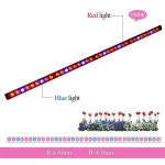 LED 성장 바 라이트, IP65 108W 스트립 램프, 레드 블루 채소 꽃 무대, 온실 식물 : 천월종합유통