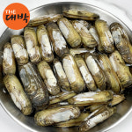 순천만 별량 맛조개 가리맛조개 제철 캠핑 조개구이 찜 대맛조개 : 더대박