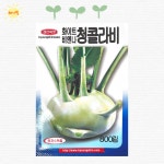 홍심농자재 | 홍심 5촌 당근 뿌리 채소 종자 씨 씨앗 : 해가빛농자재