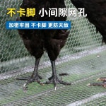 닭장 스틸 케이지 뜬장 철제 스테인레스 비둘기 사육 : Exabroking