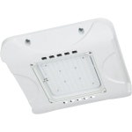150W LED 캐노피 라이트 아웃도어(700W HPS/HID 교체) 16.5 x 5000K 일광 IP65 방수 차고 140Lm/W 주유소 작업장 카포트 UL 목록 (1팩)... 