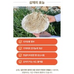 여수 갓김치 돌산 삼채 전라도 돌갓 갓김치 1kg : 반애반