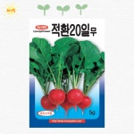 홍심농자재 | 홍심 5촌 당근 뿌리 채소 종자 씨 씨앗 : 해가빛농자재