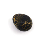 공룡알 키우기 공룡 장난감 부화 놀이 : 또와토이