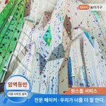 대형 야외 실내 암벽등반   전문 훈련기구 목제 유리강 스쿨몰 포석 : 복숭앗빛