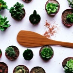 고급 티크 나무 우드 멀티 주걱 (대) : 주식회사대원코퍼레이션