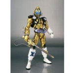 PVC SH Figuarts 가면 라이더 포제 일렉 스테이츠 : 피규어앤굿즈