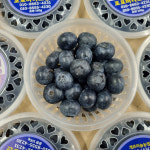 생블루베리 국내산 청정지역 제주블루베리 생과 500g 1kg : 아침청과
