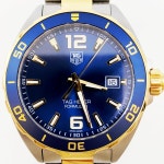 태그호이어(TAGHeuer) 포뮬러1 쿼츠 42mm 콤비메탈(네이비) WAZ1120 : 골든스튜디오