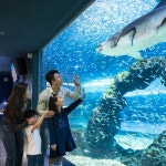 제주도패키지여행 2박3일 버스투어 단체여행 효도 관광 워크숍 홈쇼핑 미니버스 전세버스대절 : 제주1번가여행사
