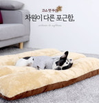 고양이 방석 애견 쿠션 강아지 마약방석 국산극세사 대형견방석 : 누렁이 스토어