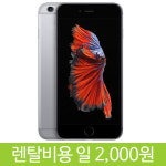 [모바일단말기대여]iPhone6플러스 : 디셈버컬러