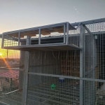 조류 포획틀 참새 비둘기 포획 케이지 유해조류 통발 : 구리갈매기