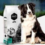 아미티 프리미엄 하이퍼포먼스 15kg : 수아펫