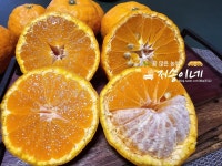 지승이네 공구창고 | 과즙 팡팡 카라향 : 지승이네