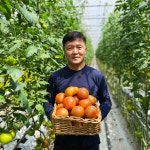 서동농장 유럽형 완숙토마토 3kg/5kg : 익산시 마을전자상거래지원단