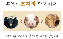 국산 토종 흑염소 진액 즙 80ml x 60포 1박스 : 애플농원