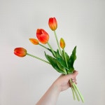튤립 조화 망고튤립조화 5송이 꽃꽂이재료 인테리어 소품 꽃다발 브라이덜샤워 부케 성묘 : 볼수록예쁜집
