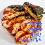 고향의 맛! (엄니손맛) 전라도 수제 양파줄기김치 2kg : 일품 국내산농산물-수제김치
