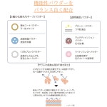 트란시노 약용 UV 파우더 12g : 로아재팬