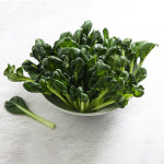 채소팜 다채 1kg 비타민채소 : 채소팜