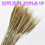보리 조화 모형 인테리어 꾸미기 장식 브라운1P : 스타스니커즈
