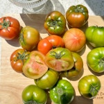 부산 대저 짭짤이 토마토 2.5kg 짭짜리토마토 : chop chop