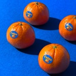 고당도 만다린 감귤 : 산해직송