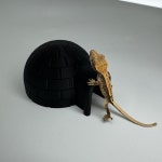 게코몽 이글루 은신처 크레 도마뱀 파충류 미니 : 파충류샵 반모리