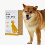 강아지 모모하우스 굿아이 솔루션 85g 결막염 백내장 염증 눈물자국 눈 건강 트릿 영양제 : 반약
