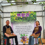 국내산 새콤달콤 수제 백향과청 500ml 1000ml 패션후르츠청 : 해름