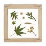 우드 압화 만들기 키트 : 테니텐