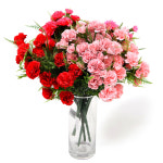 카네이션 조화 부케 인테리어 꽃다발 장식 실크플라워 : 샬롬데코