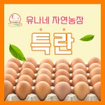유나네(특란) 난각번호 1번_자연방사/무항생제/무촉진제/무GMO 유정란(20구) : 유나네 자연숲 농장