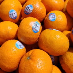 1년내내 즐기는 미국감귤 만다린 1kg(11-13과) : 파머스트레이더