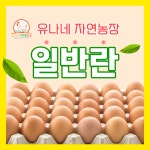 유나네(일반란) 난각번호 1번_자연방사/무항생제/무촉진제/무GMO 유정란(20구) : 유나네 자연숲 농장