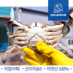 서해안 제철 활 암꽃게 알배기 1kg 2kg 3kg 숫 꽃게 국산 태안 생물 급냉 냉동 싱싱한 : - 자연나라푸드림 -