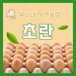 유나네(초란) 난각번호 1번_자연방사/무항생제/무촉진제/무GMO 유정란(20구) : 유나네 자연숲 농장