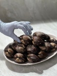 벌교 생산자 직판 피꼬막 1kg 내일도착 피조개  피꼬막살 : 반도 수산