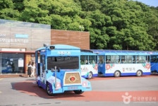 와우부산여행사 [부산출발] 여수 호화 크루즈+오동도 당일테마여행 버스투어 패키지 : 와우부산여행사