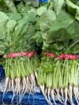 명품 울산열무 한 단 [1.5kg 내외] : 푸른잎농산