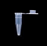 PCR-02-C Axygen 0.2ml PCR Tubes - flat cap 1000/pk : 대일SCI