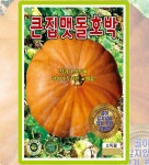 큰집 맷돌 호박 10립 여름과일 종자모음 희귀채소 열매채소 체험학습 : 사이버가든